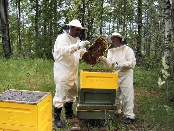 20070716 Mehiläisten hoitoa c